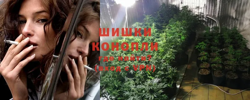 МАРИХУАНА OG Kush  Михайловск 